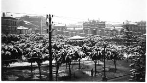 ORAN neige square Garbe fevrier 1954